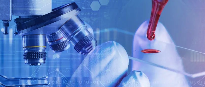 贝斯特全球奢华网络+银丰生物集团 打造科研创新“加速度”